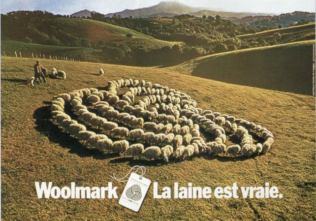 Quelle laine vous va le mieux.. laine, pure laine vierge ou pure laine vierge Woolmark ?