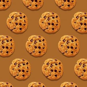 A quoi servent les cookies sur internet ?