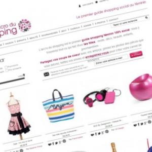 L'accro du shopping : premier guide shopping féminin 100% social