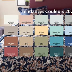 Décoration d'intérieur, les couleurs tendances de 2022 !