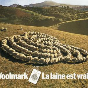 Quelle laine vous va le mieux.. laine, pure laine vierge ou pure laine vierge Woolmark ?