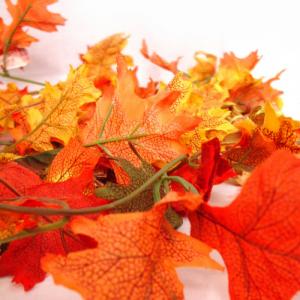 Votre linge de maison aux couleurs de l’automne